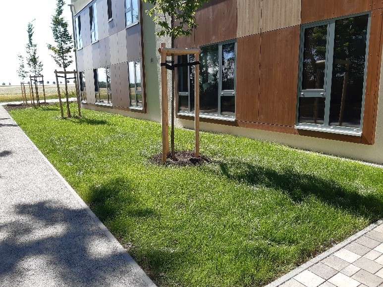 Neubau der Kita in Erfurt-Frienstedt durch das RJ Planungsbüro - Architekturbüro Kassel und Erfurt für Sozialbauten und Gesundheitsbau